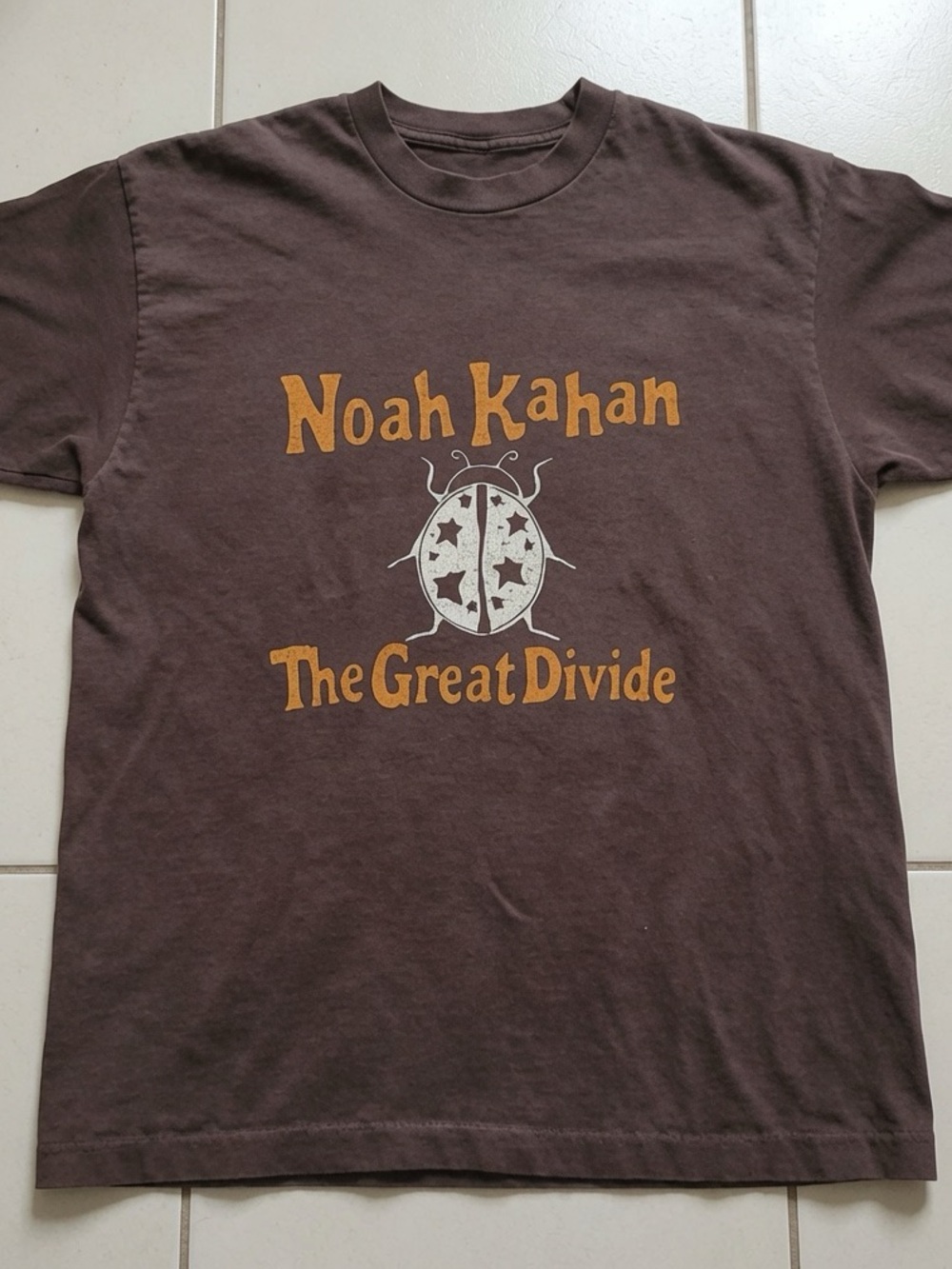 Gildan Brown T-shirt The Great Divide Brown Graphic Tee